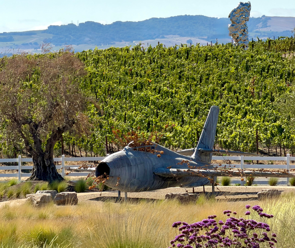 Anselm Kiefer's Mohn und Gedächtnis (Poppy and Memory) (2017): a life-size warplane set improbably among the vineyards of Sonoma (The Donum Estate).