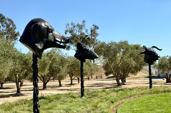 Ai Weiwei's Circle of Animals/Zodiac Heads, set among the olive trees and vineyards of the Donum Estate, Sonoma.